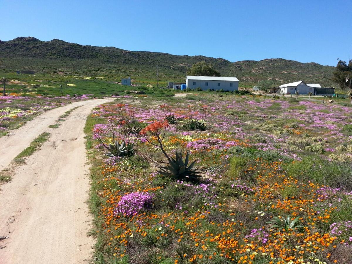 Middelkraal Accommodation Garies Bagian luar foto